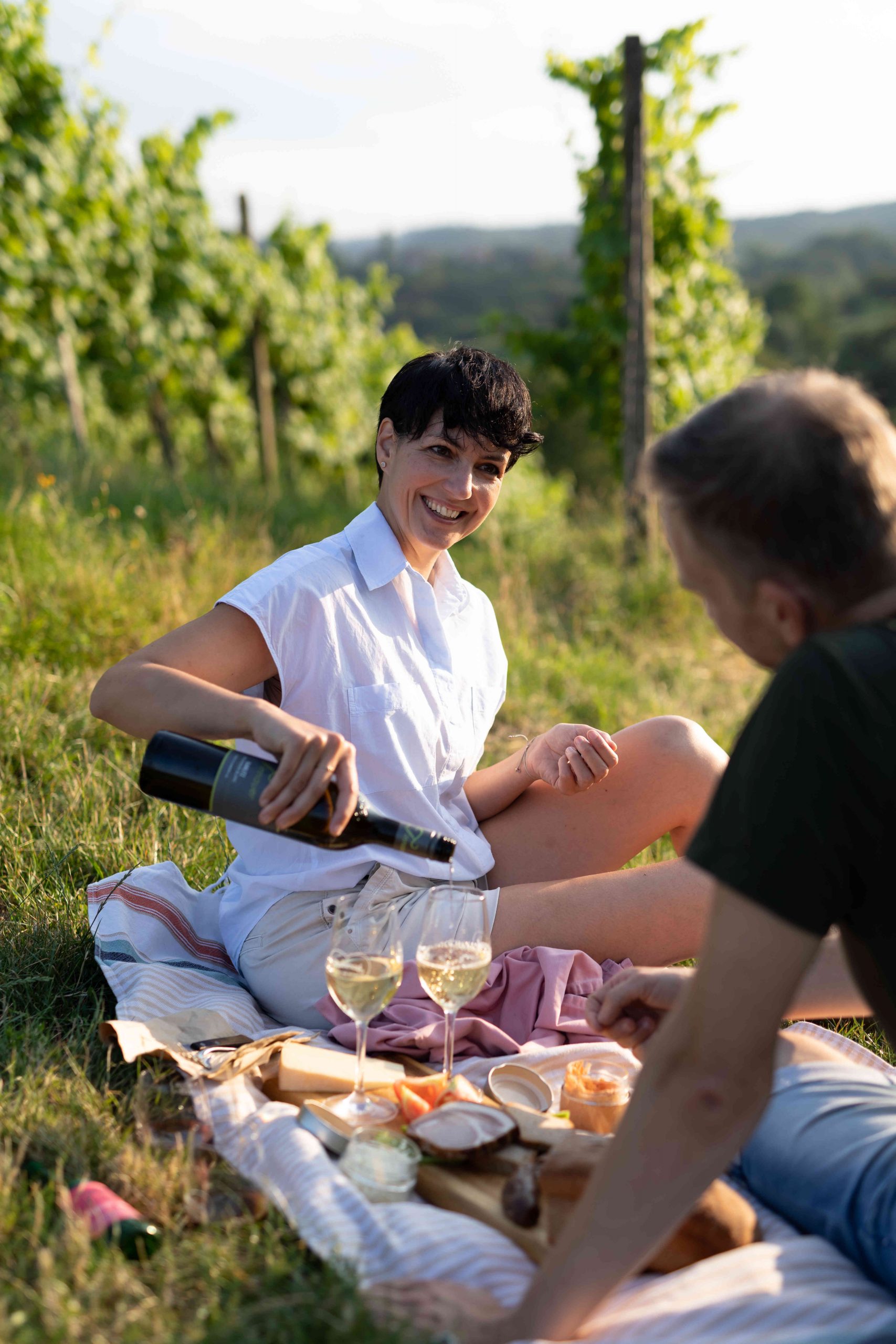 Picknick im Weingarten in der Südsteiermark