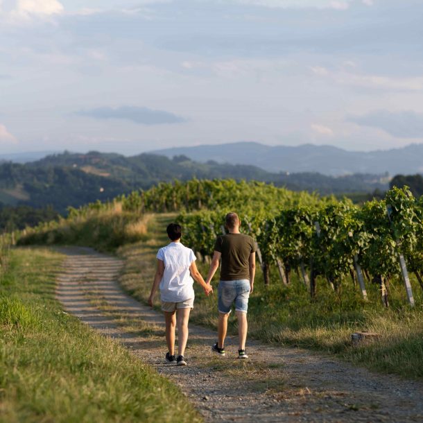 Wandern in der Südsteiermark