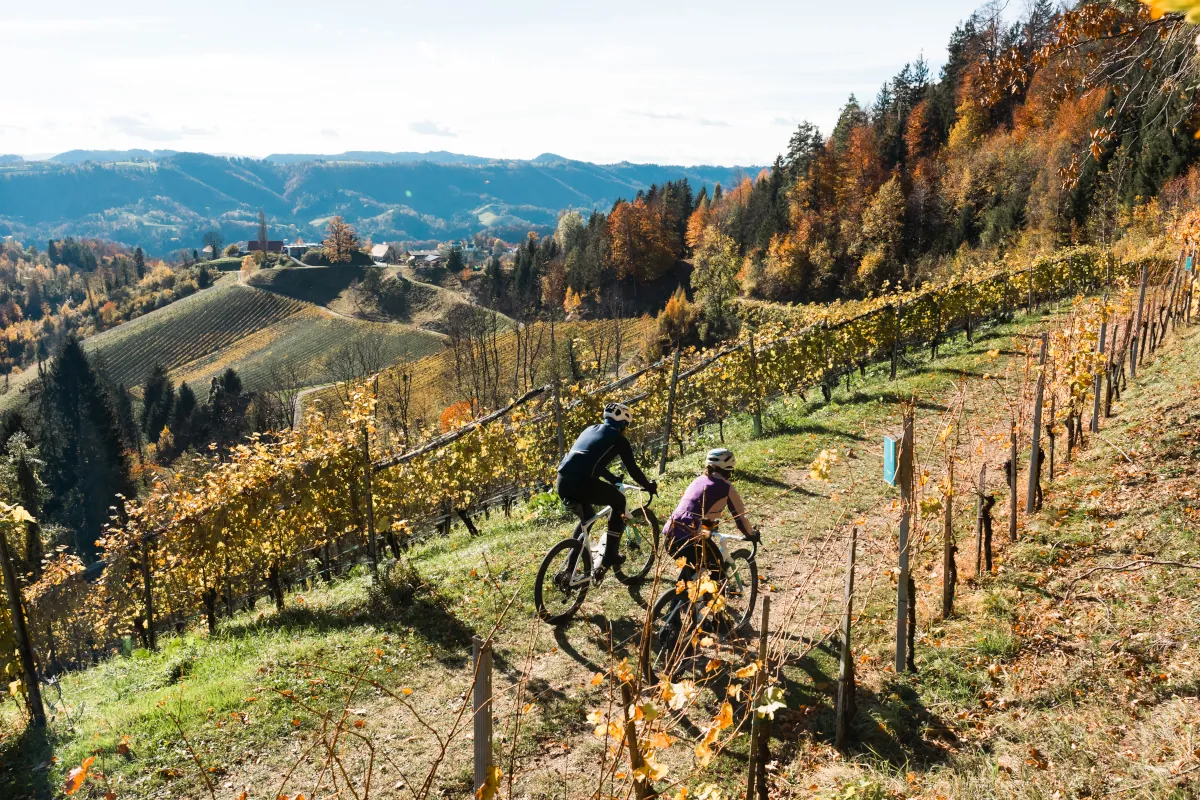 Gravel Extravaganza Südsteiermark