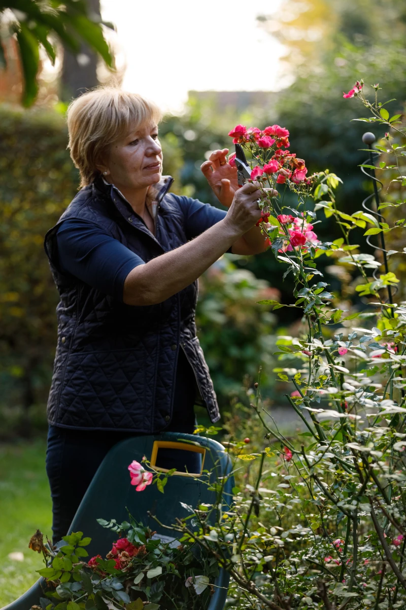 Unser Rosengarten im Hotel Restaurant Weinlandhof Gamlitz in der Südsteiermark