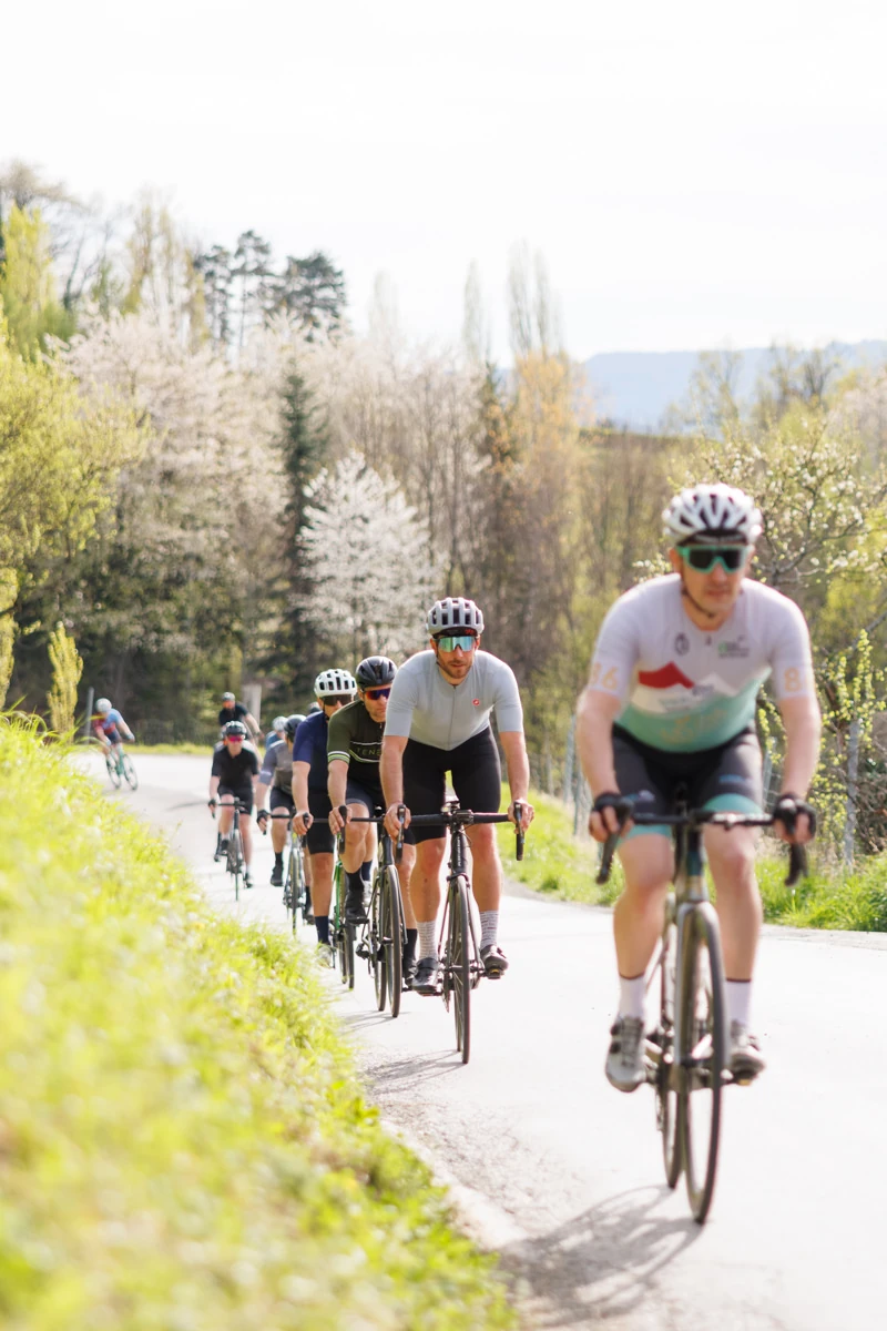 Rennradfahrer in Frühlingslandschaft in einer Fahrkolonne