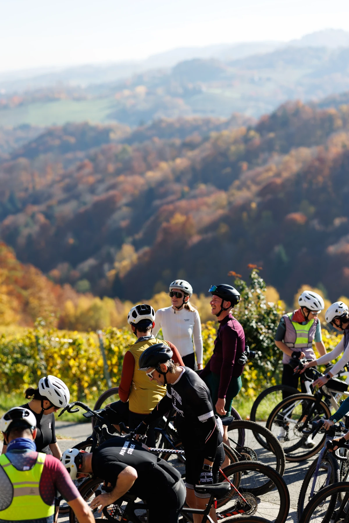 Gruppe Rennradfahrer von oben in südsteirischer Herbstlandschaft