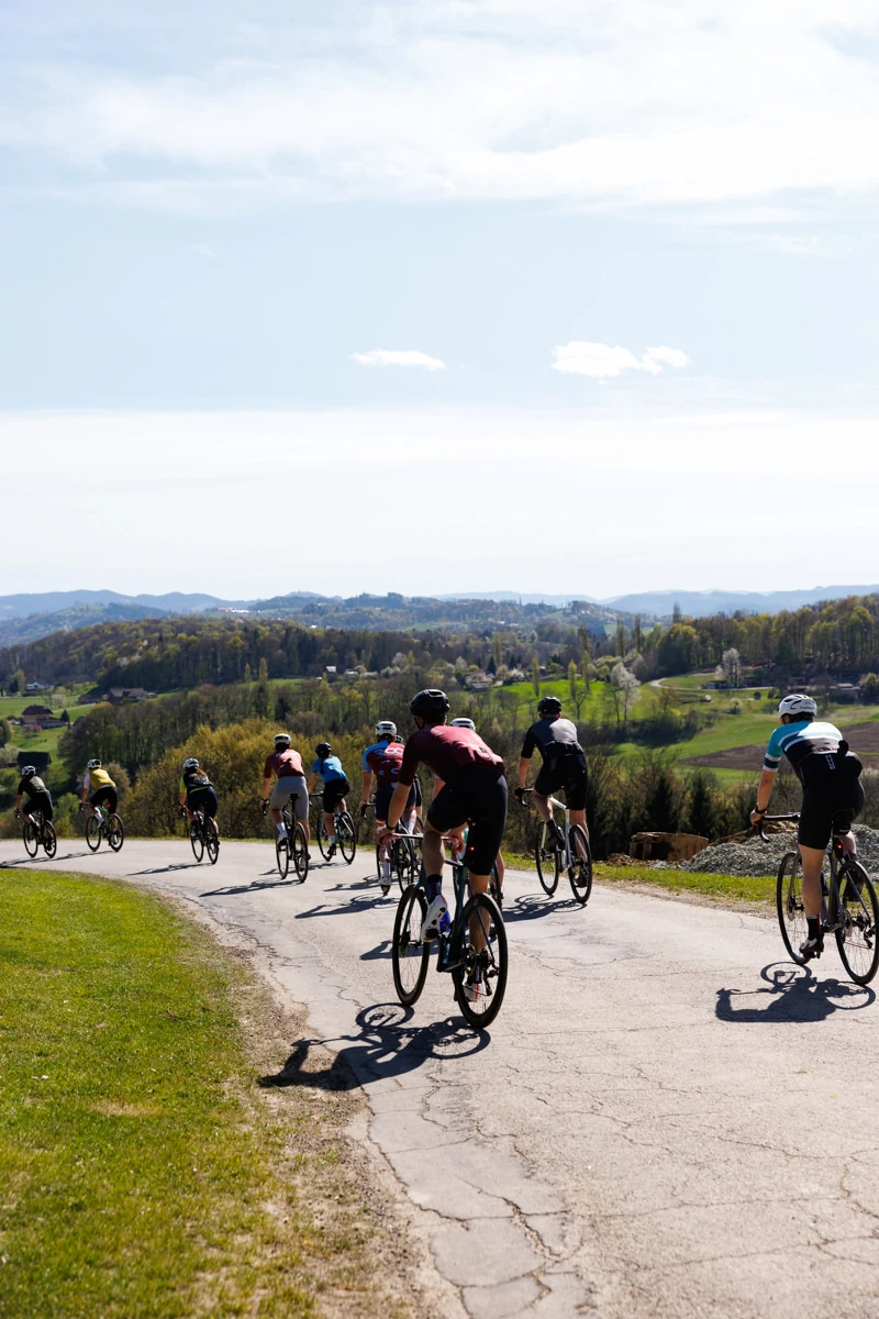 Gruppe Rennradfahrer am Bike von hinten zwischen Weinbergen
