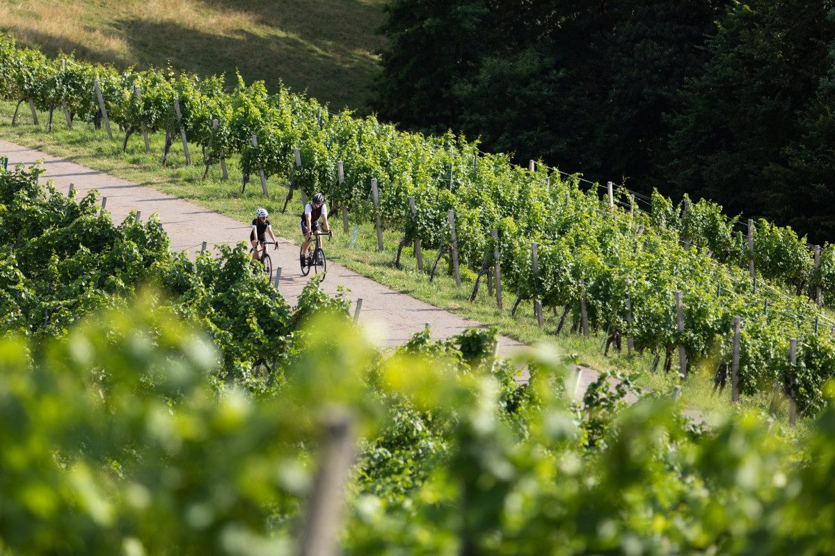 Rennrad-Urlaub in der Südsteiermark